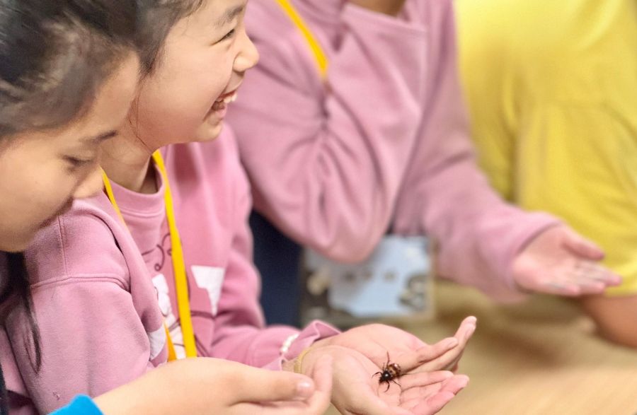 2024学年度 屏东高树国小 公益教育冬令营